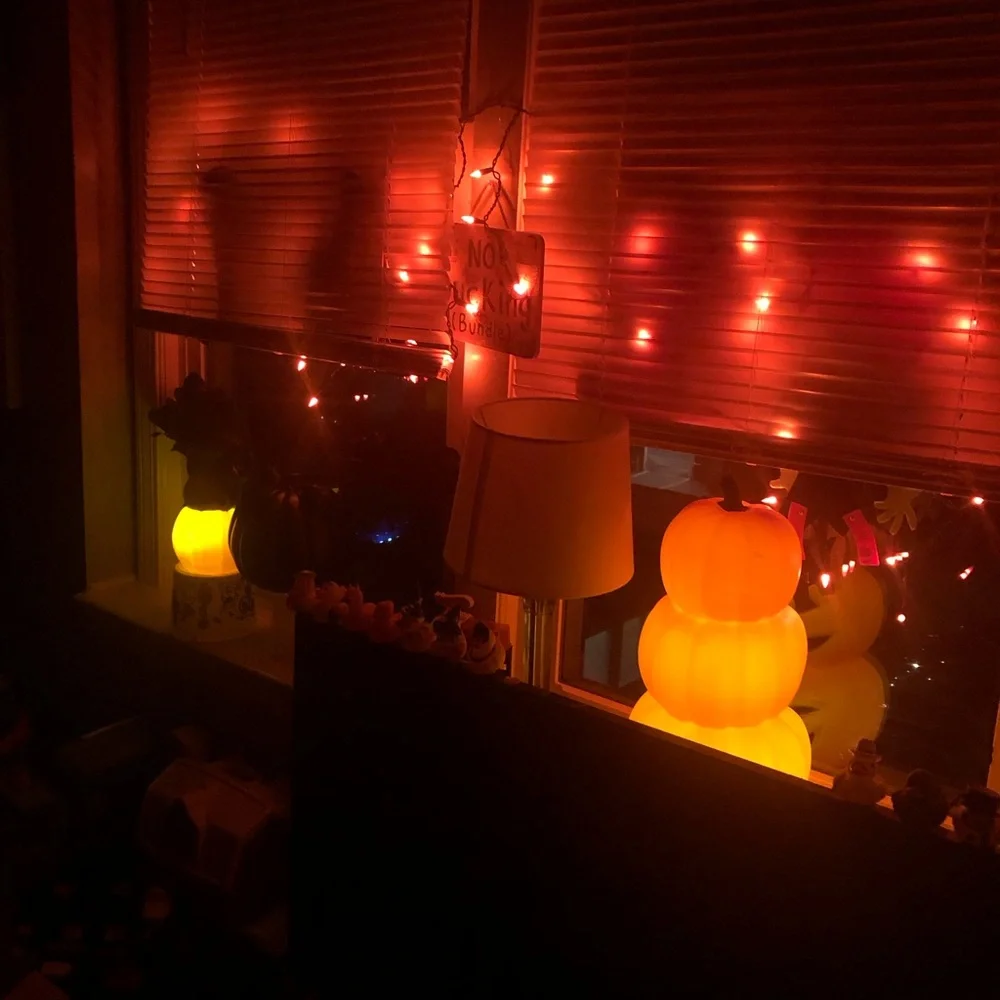 🎃 Halloween Orange Icicle String Lights on Black Twisted Cord